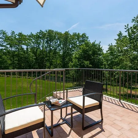 Holiday home House Mateo With Private Pool Stari Pazin